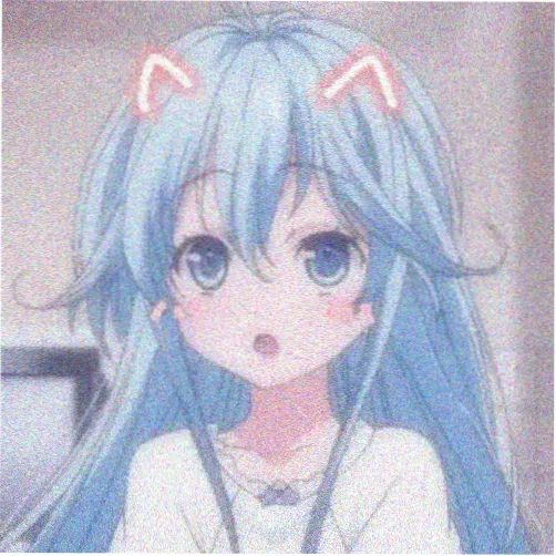 沈震轩 喜爱夜蒲